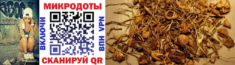 Галлюциногенные грибы MAGIC MUSHROOMS Черногорск