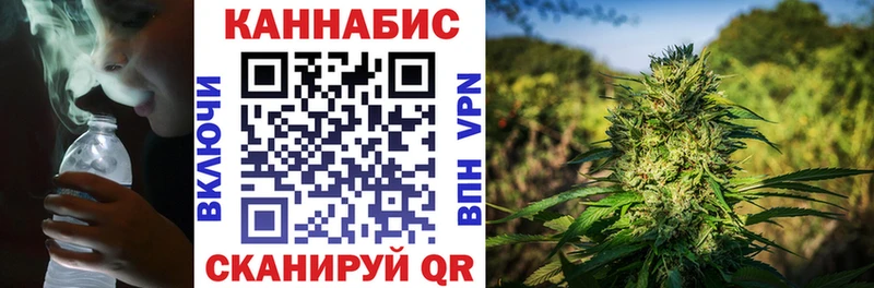 Конопля сатива  Черногорск 